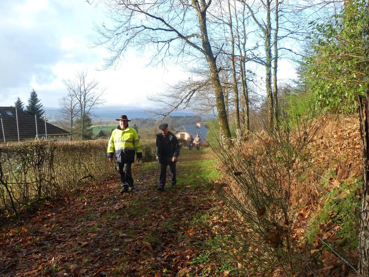 Brion n°15 du 4 janv 2016