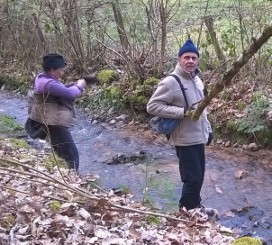 CELLE en MORVAN n°16 du 29 Fév 2016