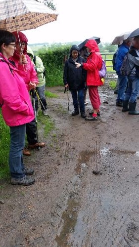 Dracy st Loup n°8 du 13 Juin 2016