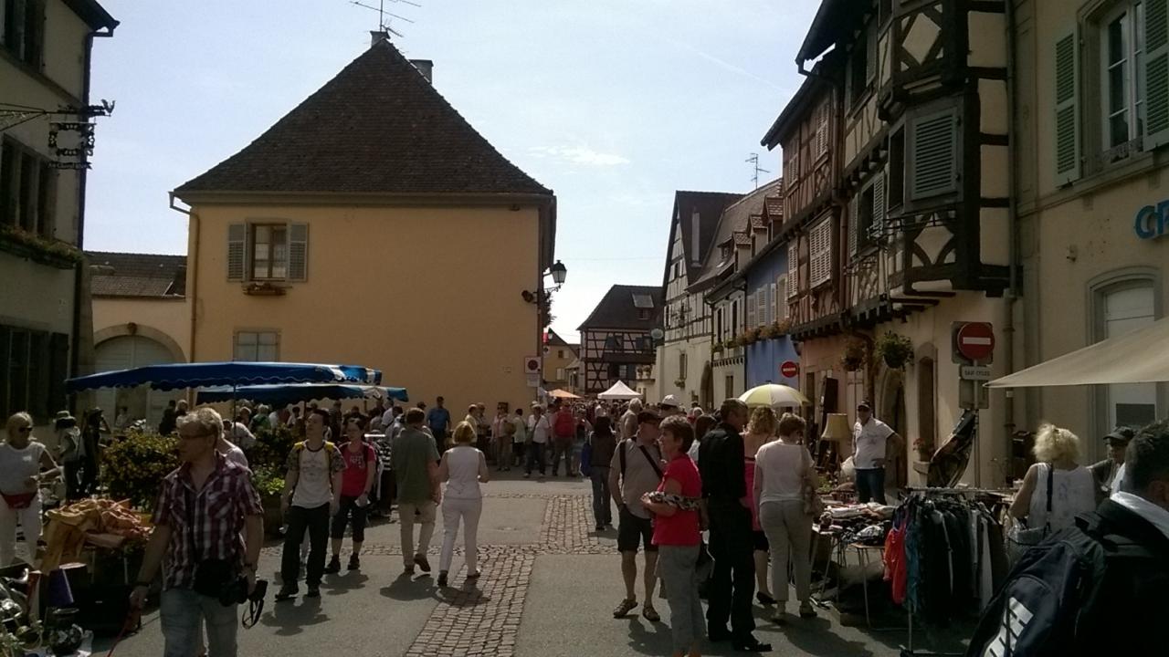 Alsace 16