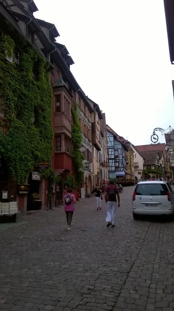 Alsace 31