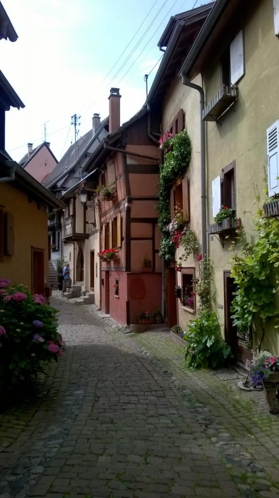 Alsace 9