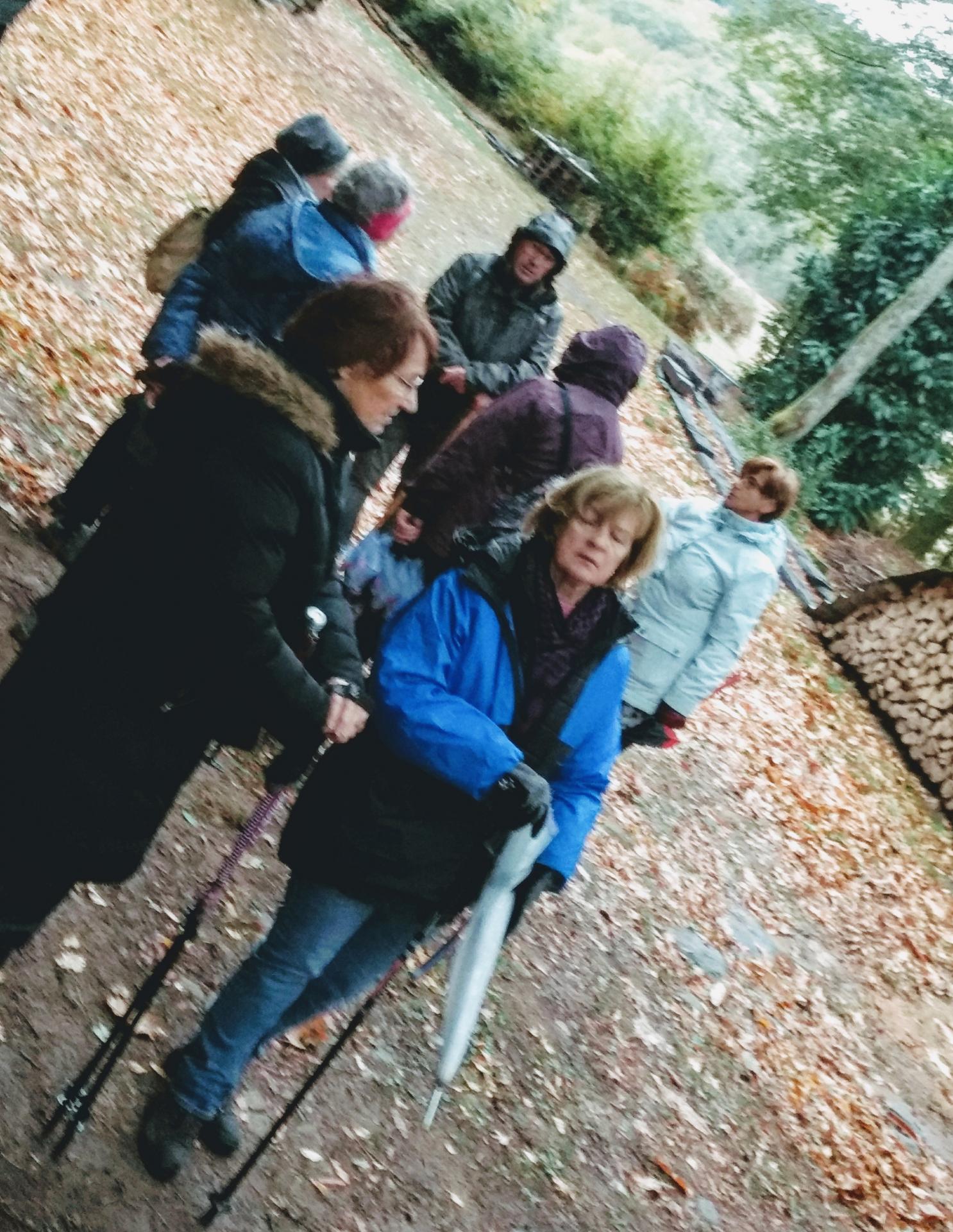 BRION le 29 Octobre 2018 n°11c