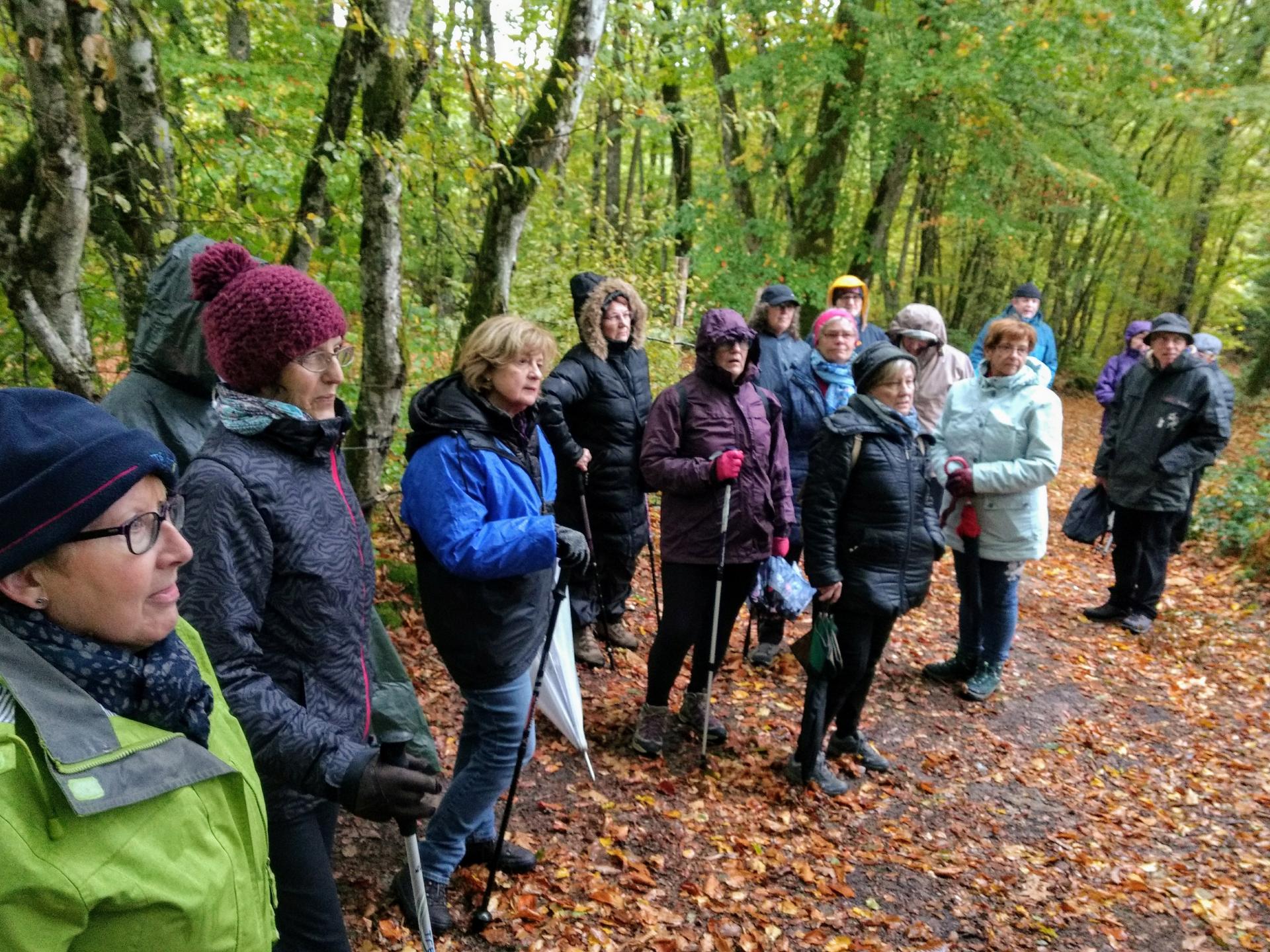 BRION le 29 Octobre 2018 n°15c