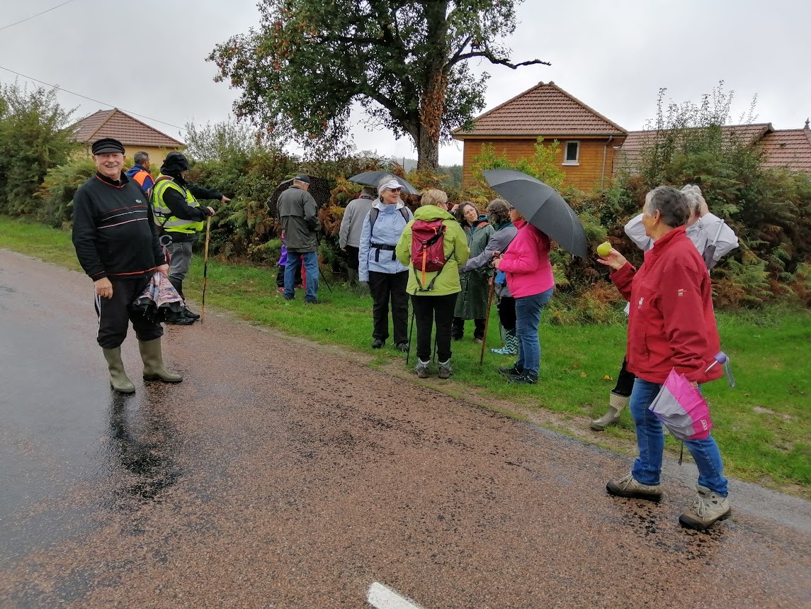 Brion le 5 octobre 2020 n 4