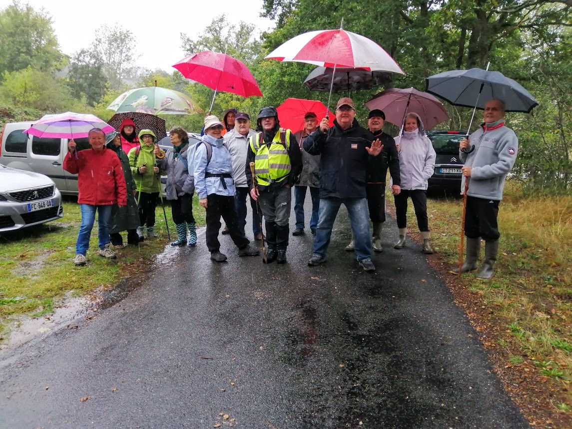 Brion le 5 octobre 2020 n 7
