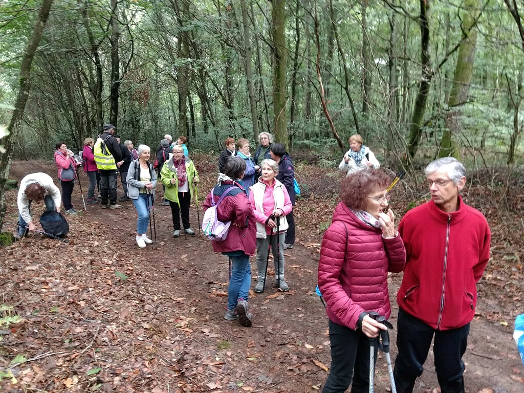 BRION n°24c le 7 Octobre 2019