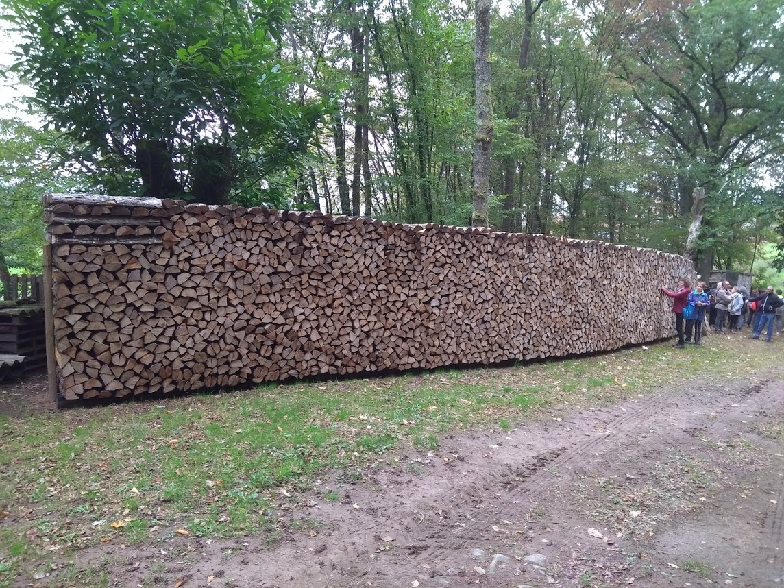 BRION n°4 le 7 Octobre 2019