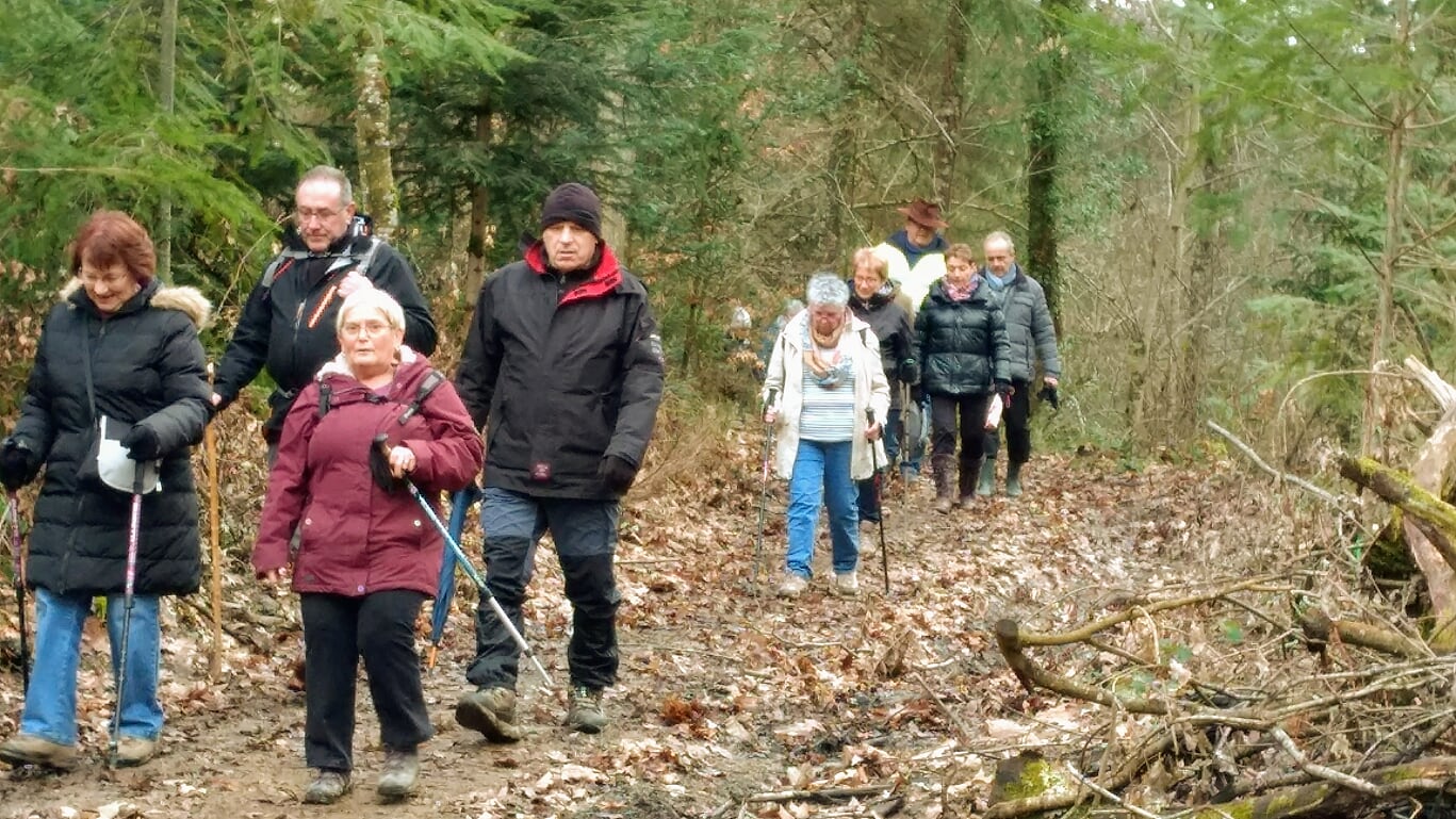 BROYE le 11 Février 2019 N°15c