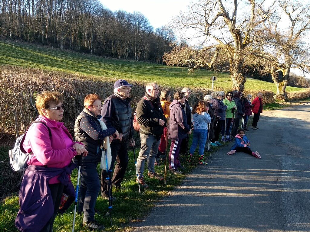 La COMELLE le 24 Février 2020 N°11c