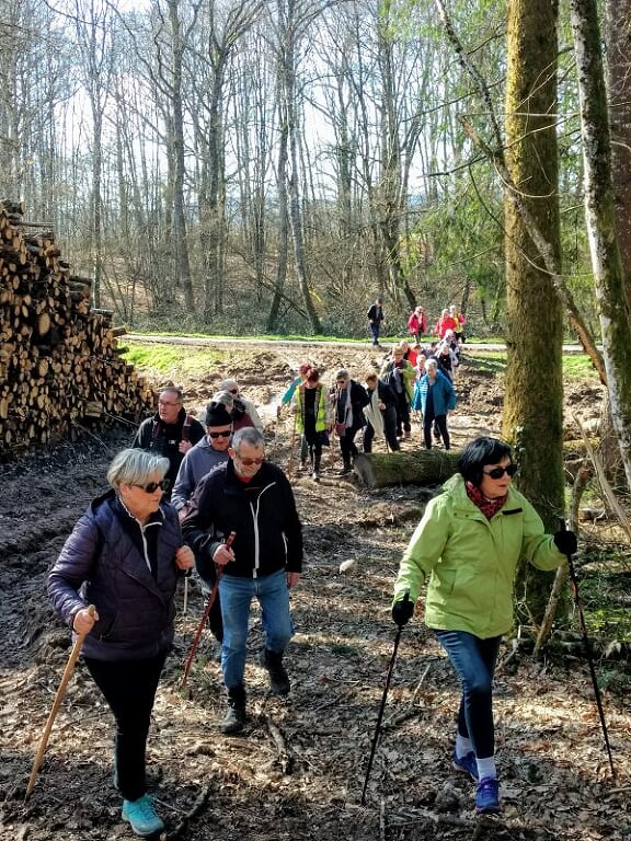 La COMELLE le 24 Février 2020 N°2c