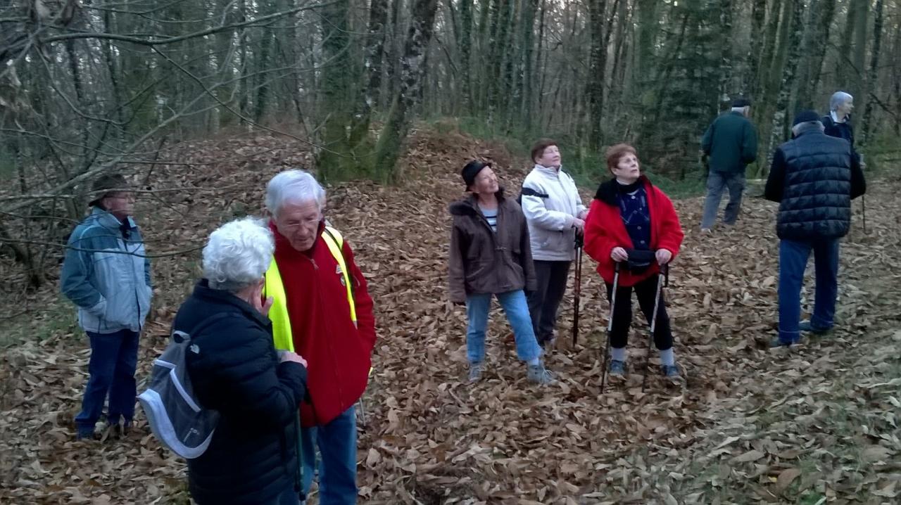 La COMELLE le 5 dec 2016 n°20