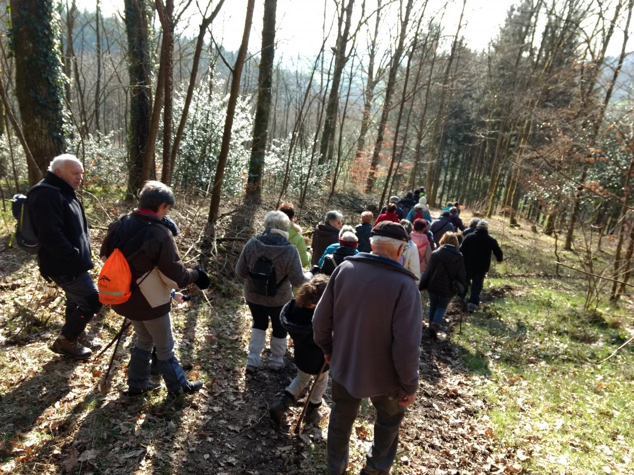 MESVRES - Charmasse le 19 février 2018 n°13c