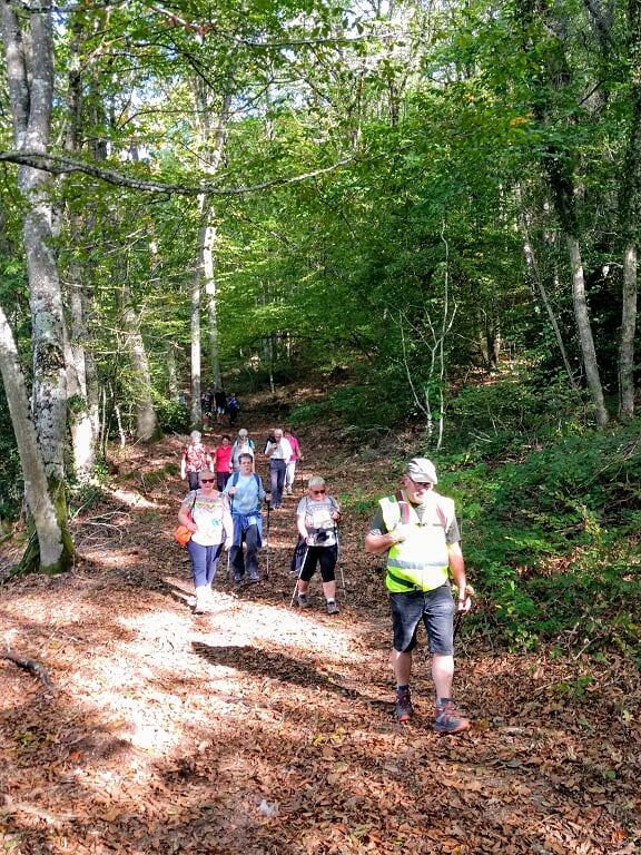 MESVRES le 14 Octobre 2019 n°4C