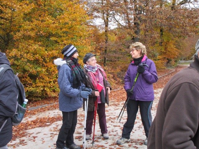 Mt BEUVRAY le 7 Nov 2016 n°18