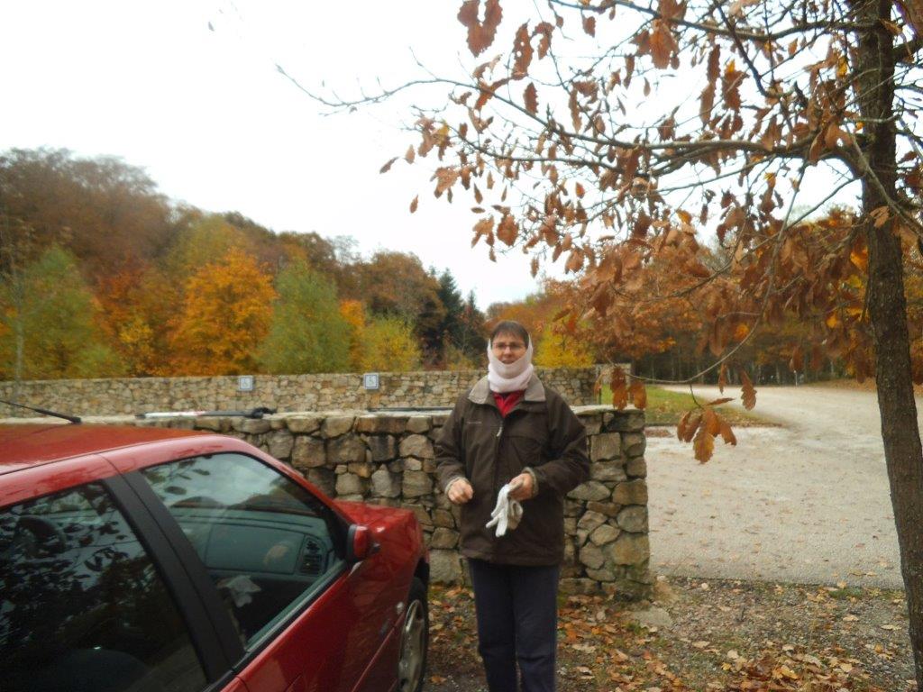 Mt BEUVRAY le 7 Nov 2016 n°21