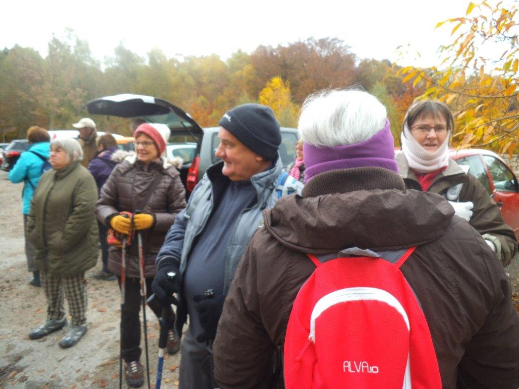 Mt BEUVRAY le 7 Nov 2016 n°26