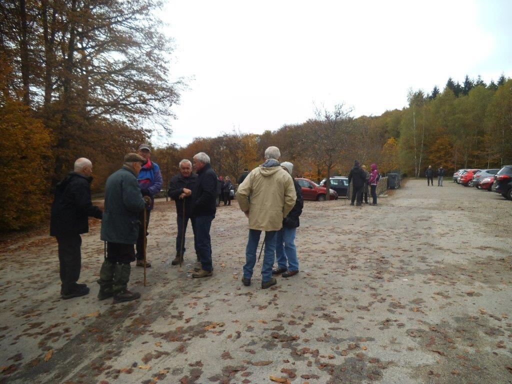 Mt BEUVRAY le 7 Nov 2016 n°28
