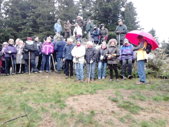 Mt BEUVRAY le 7 Nov 2016 n°3