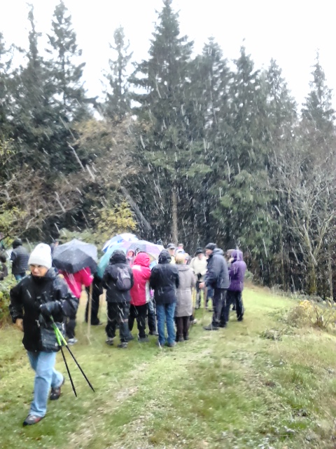 Mt BEUVRAY le 7 Nov 2016 n°4