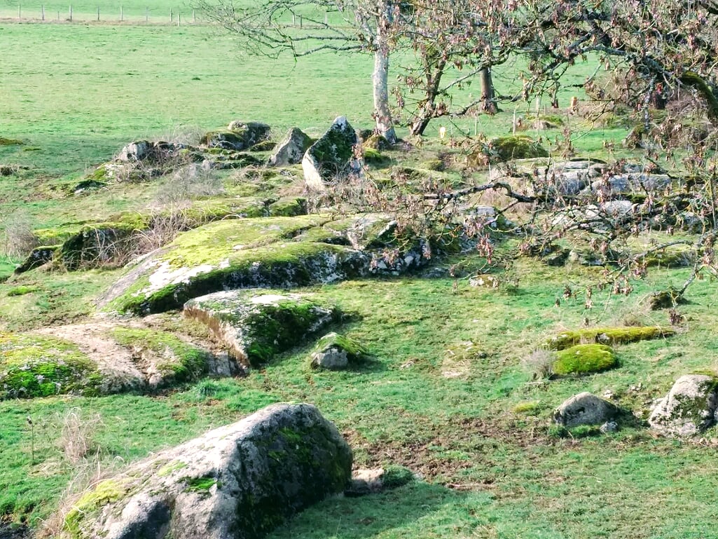 St NIZIER sur ARROUX le 4 Février 2019 N°16c