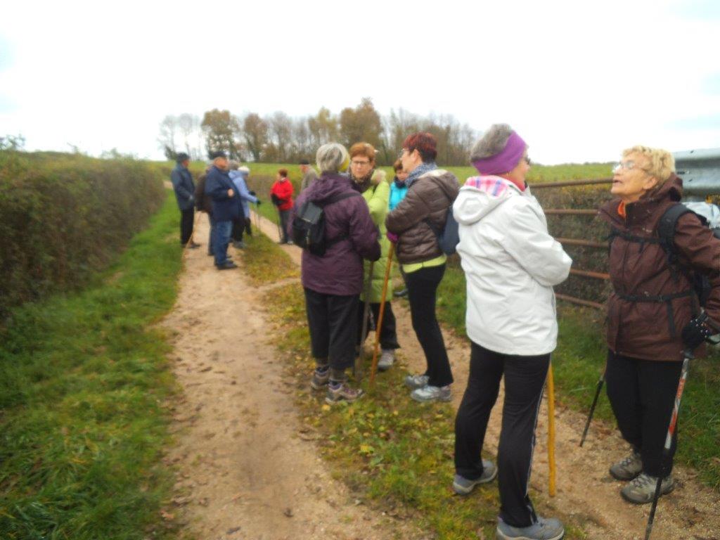 TAGNIERE le 14 nov 2016 n°9