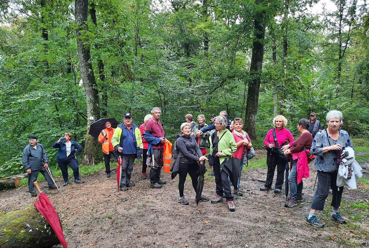 Autun le 7 octobre 2024 n 10