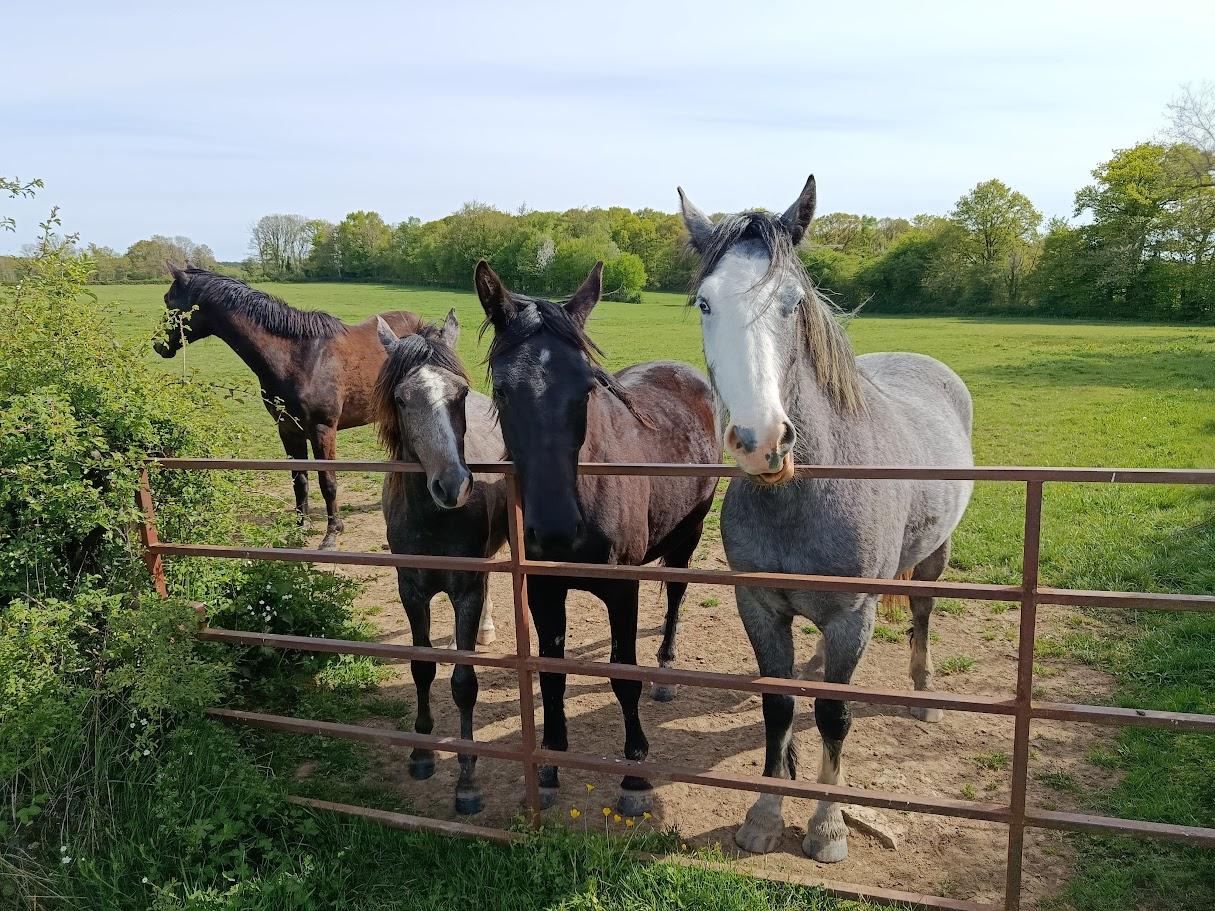 Fragny le 20 avril 2026 n 17