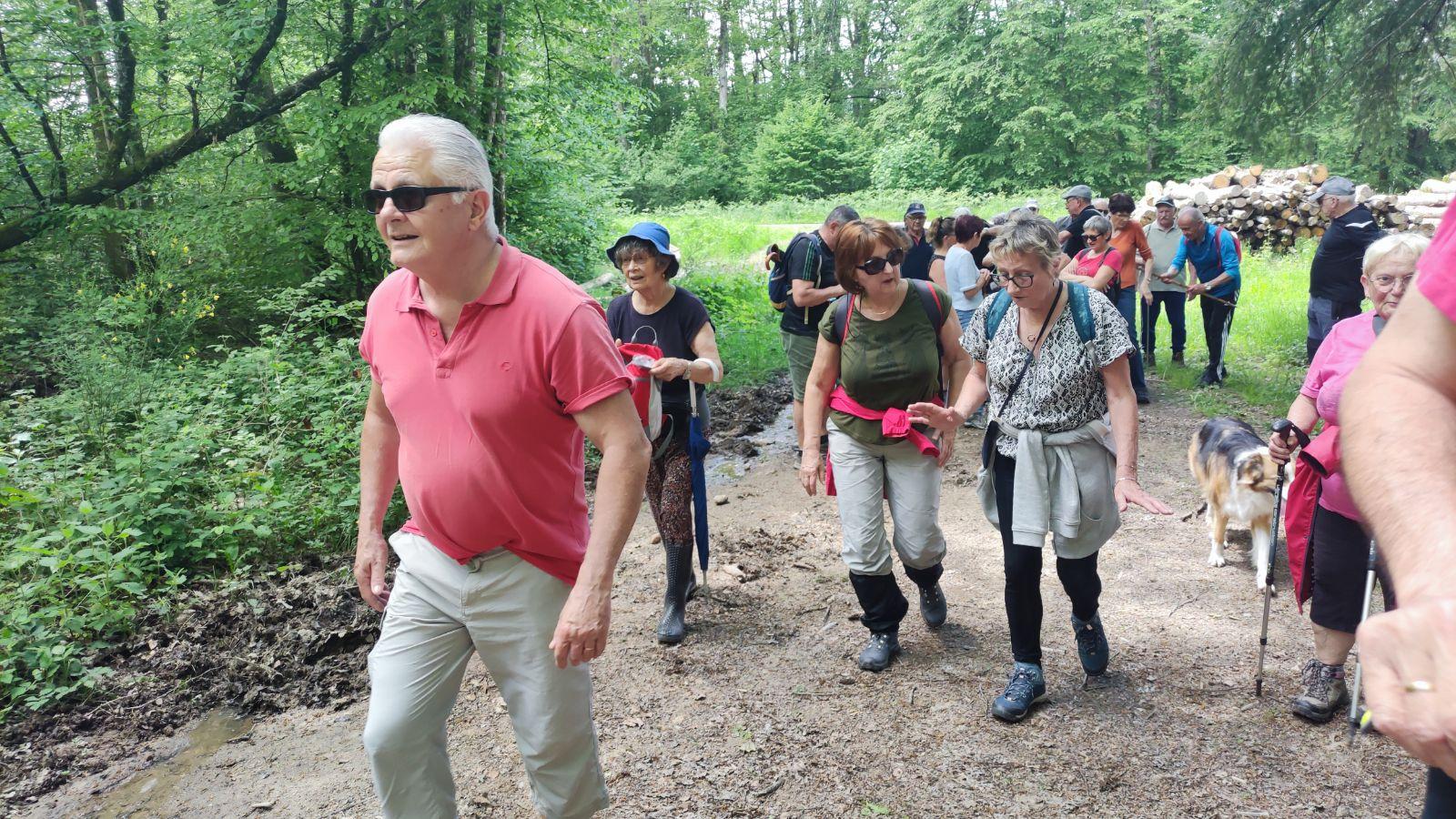 La comelle le 13 mai 2024 n 10