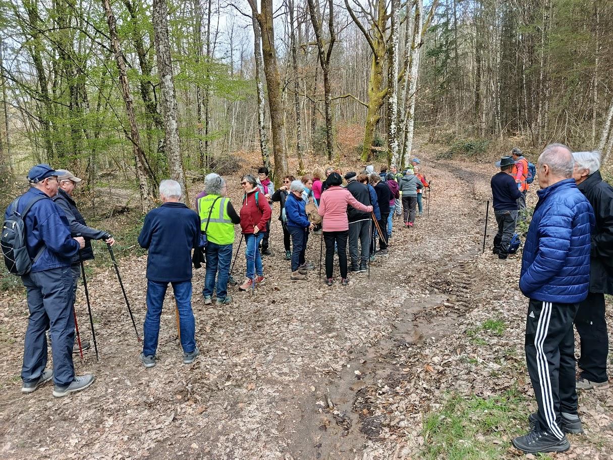 La comelle le 23 mars 2026 n 11
