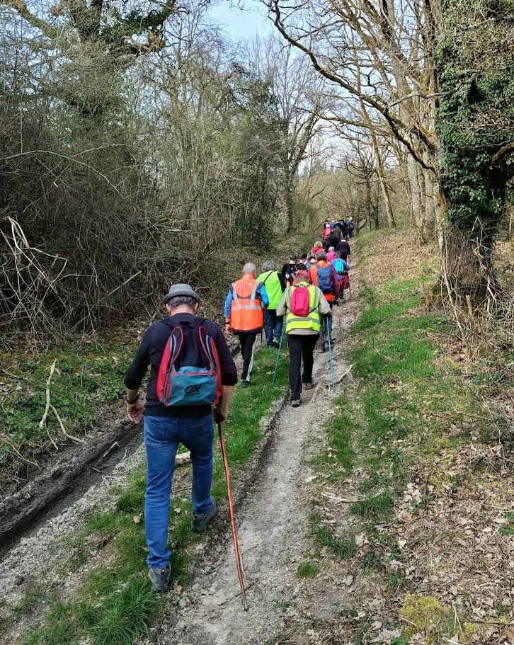 La tagniere le 9 mars 2026 n 13
