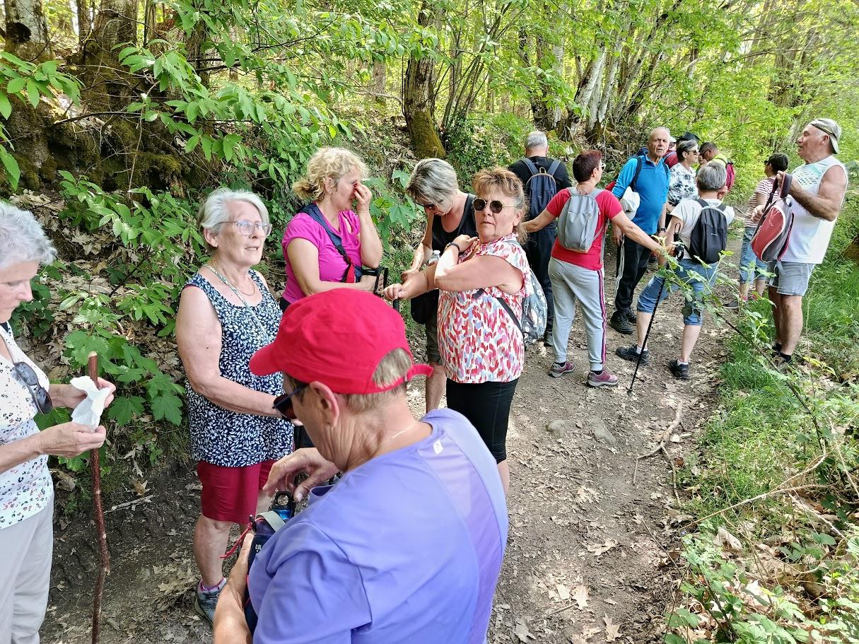 Marmagne le 27 avril 2026 n 10