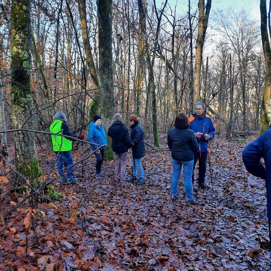 Mesvres le 15 decembre 2025 n 13