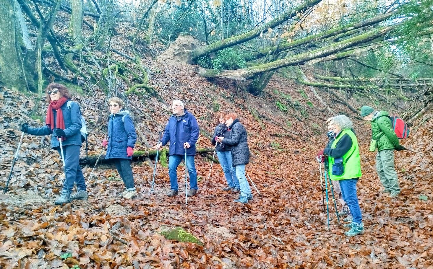 Mesvres le 15 decembre 2025 n 8