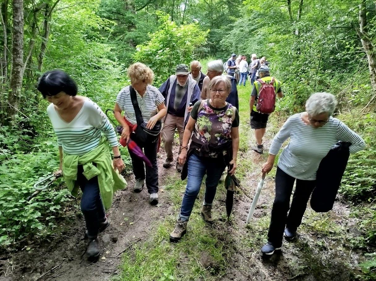 Mesvres le 2 juin 2025 n 16