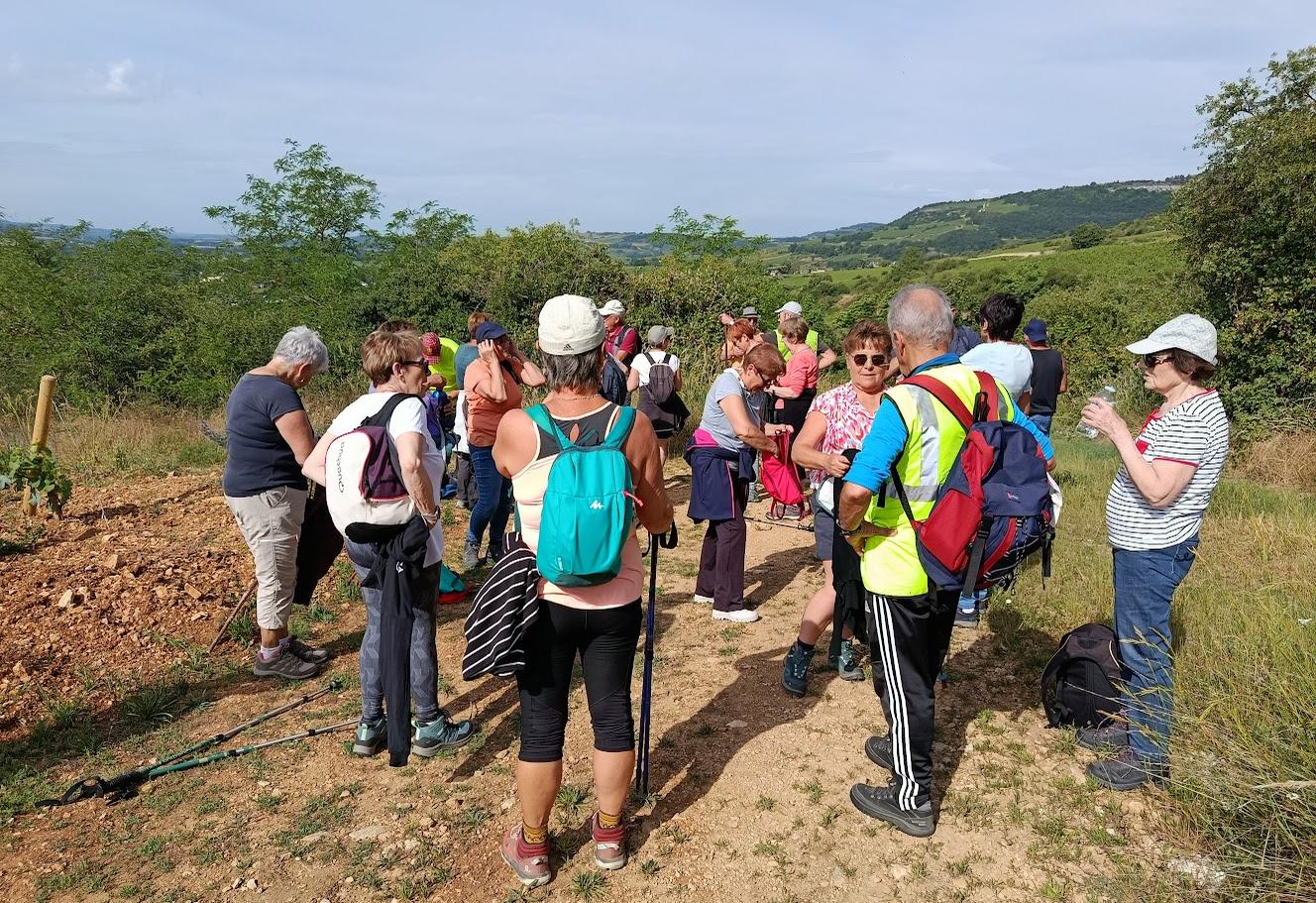 Santenay 8 juin 2026 n 11