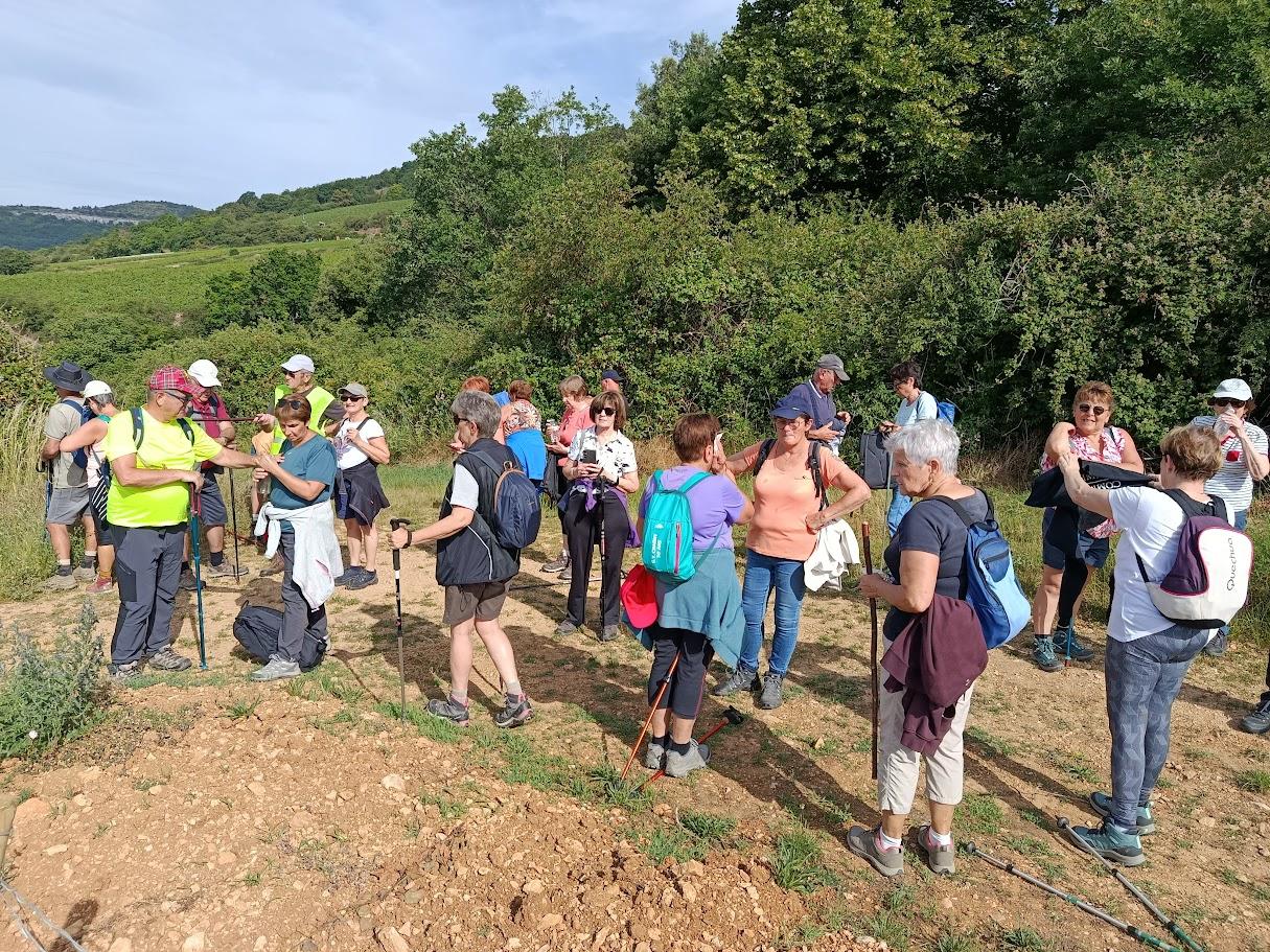 Santenay 8 juin 2026 n 12