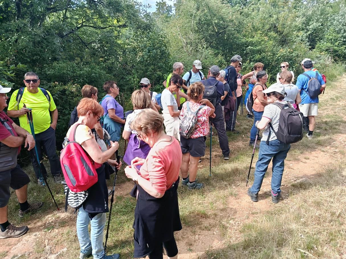 Santenay 8 juin 2026 n 15