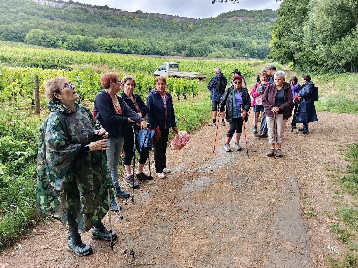 Santenay 8 juin 2026 n 84