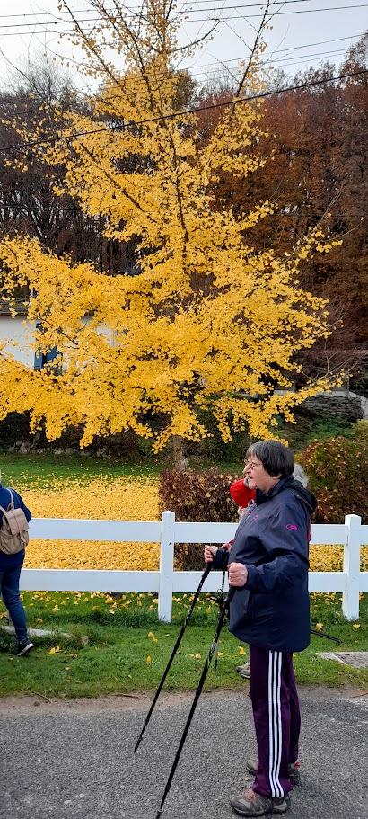 St firmin le 10 novembre 2025 n 17