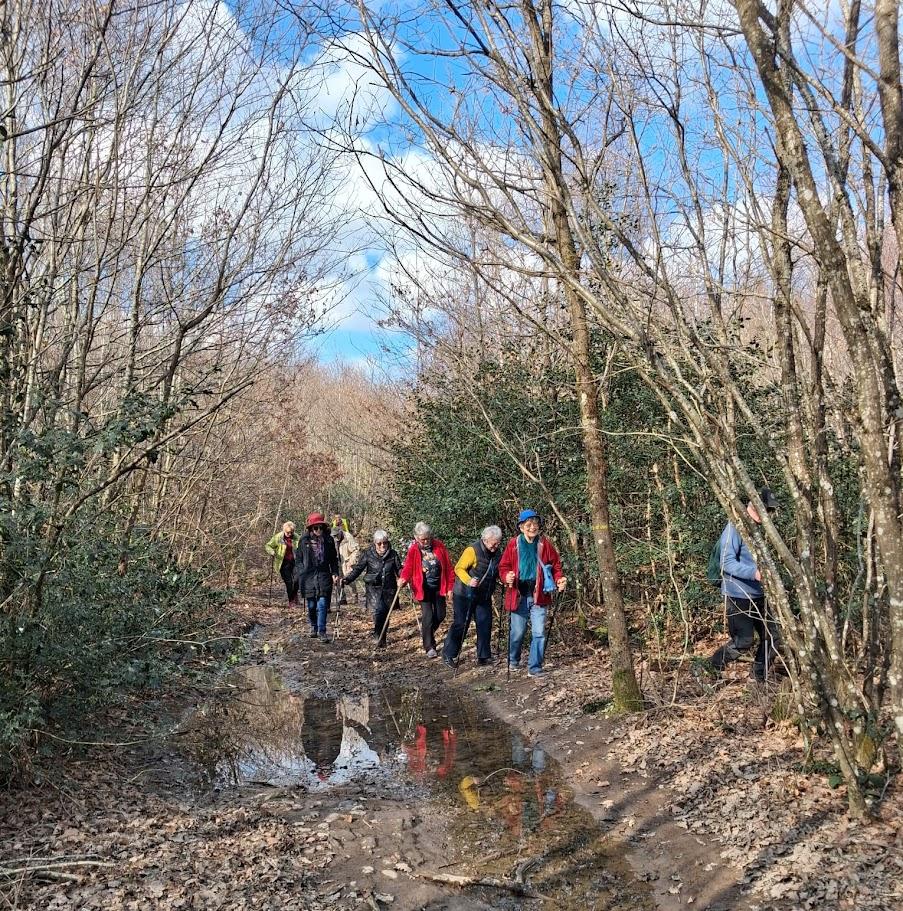 St sernin le 2 mars 2026 n 23