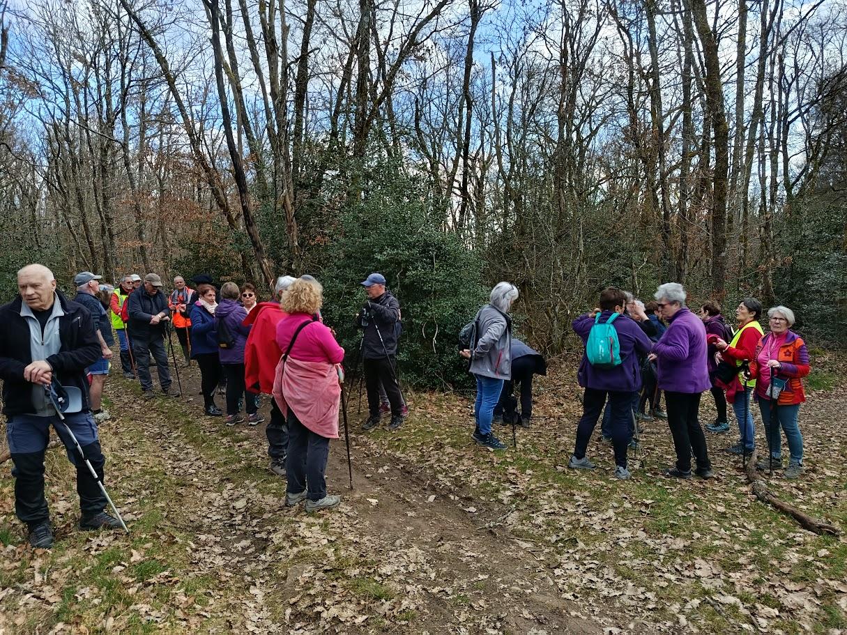 St sernin le 2 mars 2026 n 6