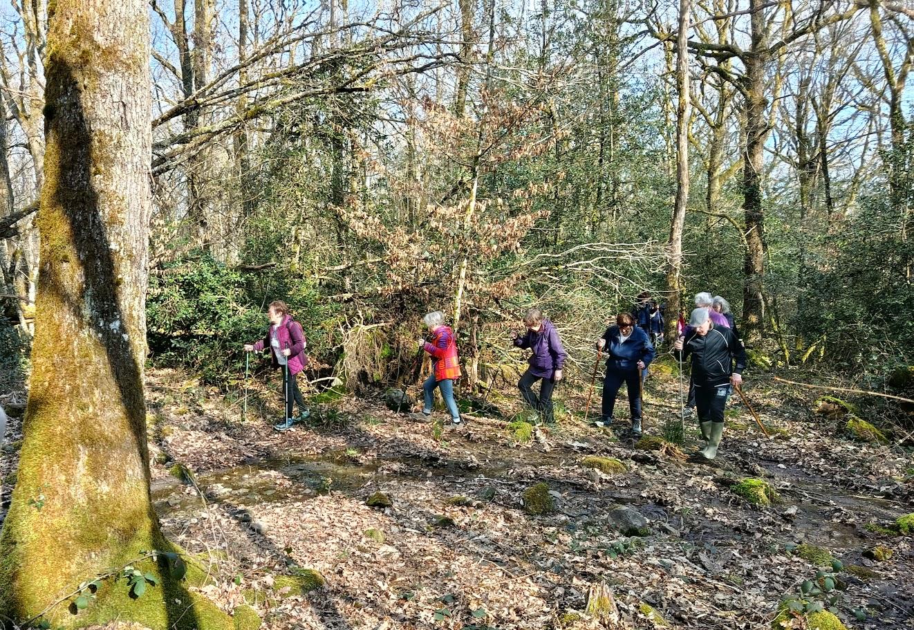 St sernin le 2 mars 2026 n 9