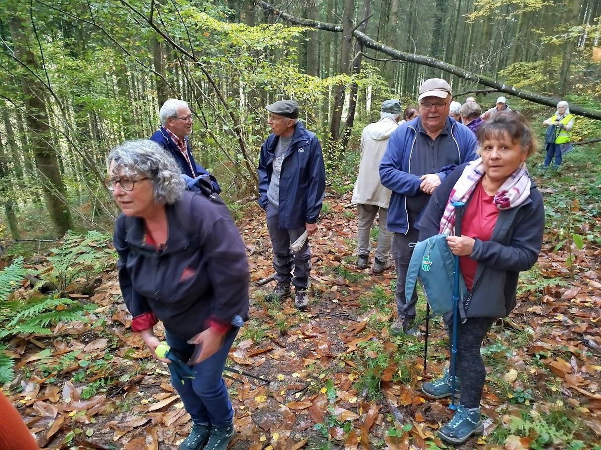 St symphorien le 3 nov 2025 n 10