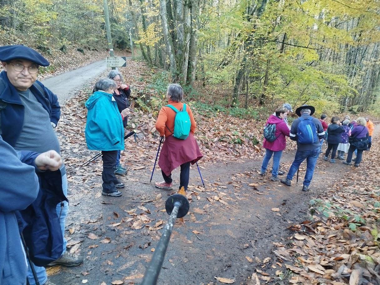 St symphorien le 3 nov 2025 n 12