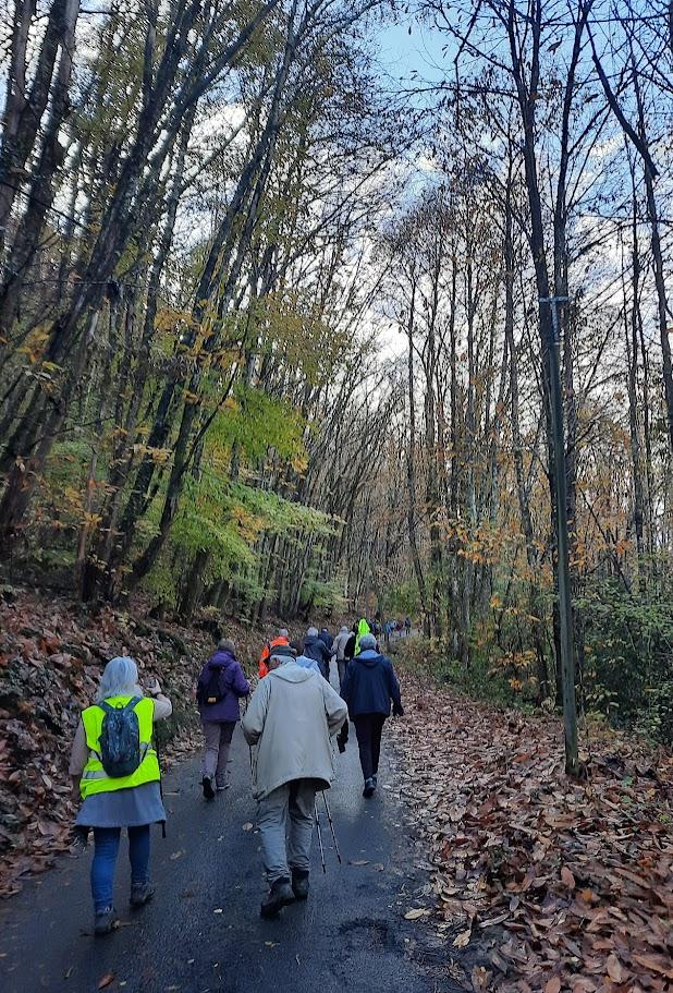 St symphorien le 3 nov 2025 n 20