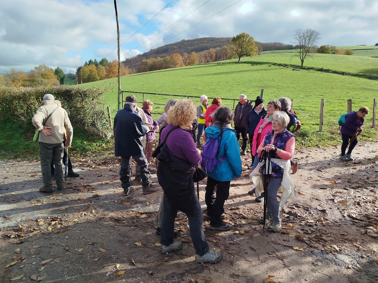 St symphorien le 3 nov 2025 n 4