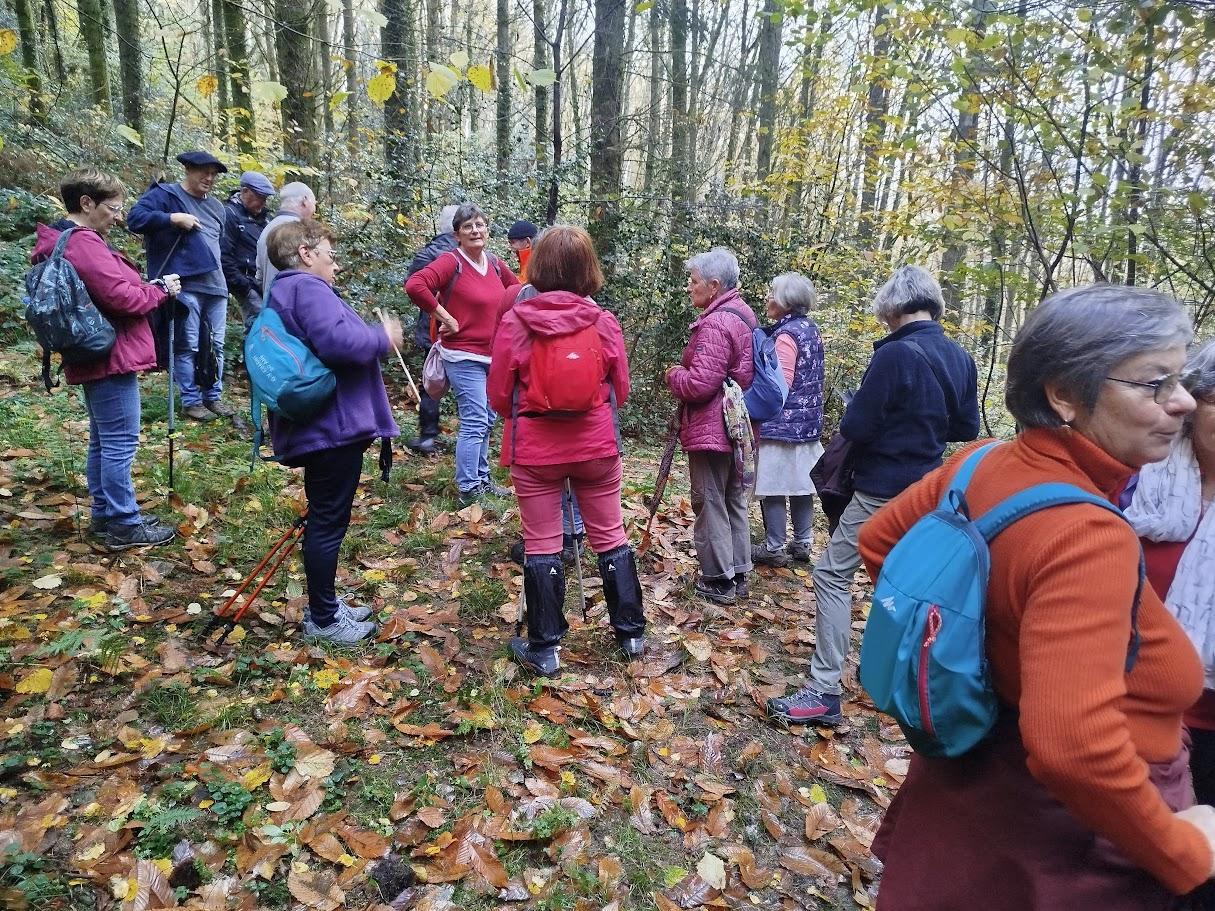 St symphorien le 3 nov 2025 n 9